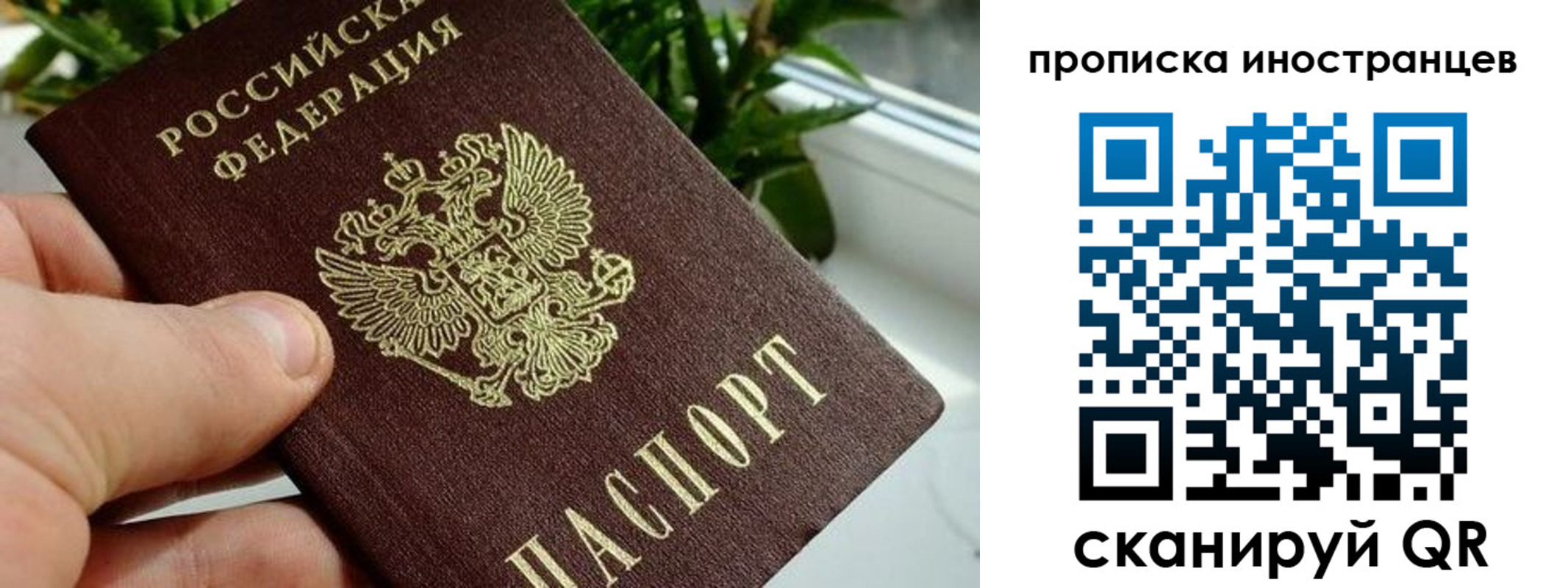 временная регистрация в Чите