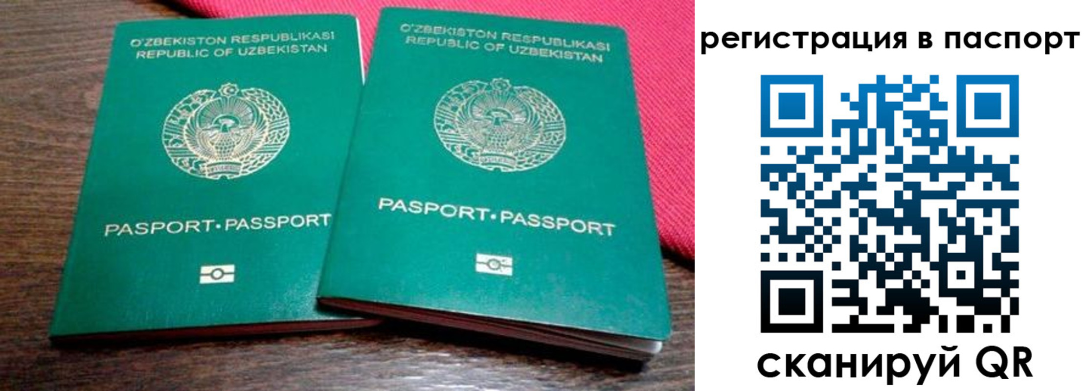 временная регистрация купить в Чите